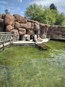 Kolejna udana wyprawa, tym razem do Ogrodu Zoologicznego w Opolu – zdjęcie 8