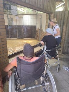 Kolejna udana wyprawa, tym razem do Ogrodu Zoologicznego w Opolu – zdjęcie 5