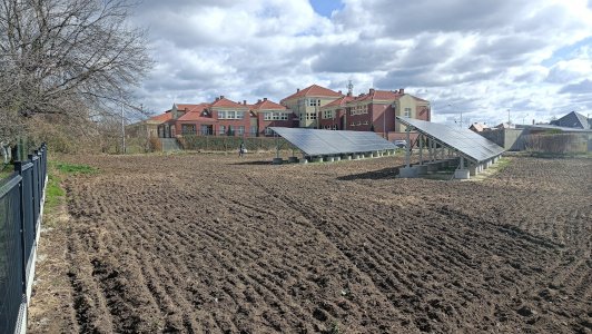 Program Łąki Kwietne – zdjęcie 4